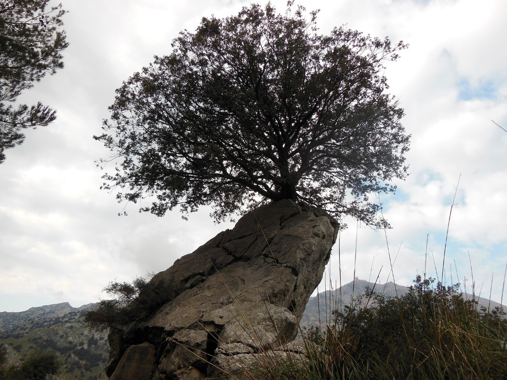Hiking in Mallorca, Spain.
